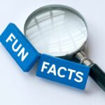 Lovelolablog fun facts