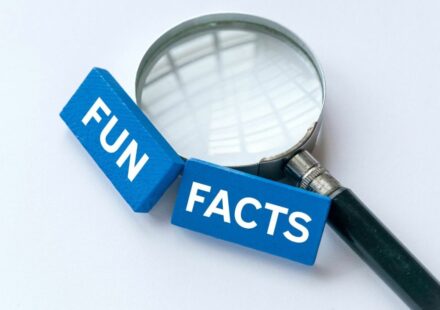 Lovelolablog fun facts