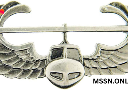 air assault pin