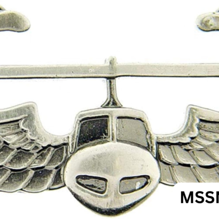 air assault pin