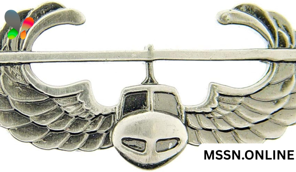 air assault pin