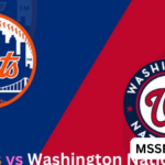 mets vs washington nationals match player stats